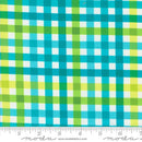 Fiesta Picnic Party Checks and Plaids Splash Yardage