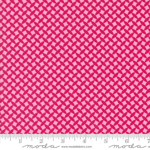 Fiesta Town Square Blenders Raspberry Yardage