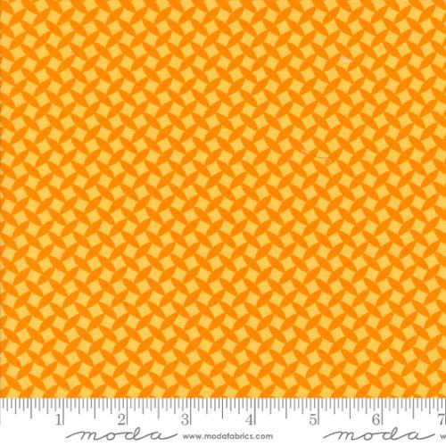 Fiesta Town Square Blenders Orange Juice Yardage