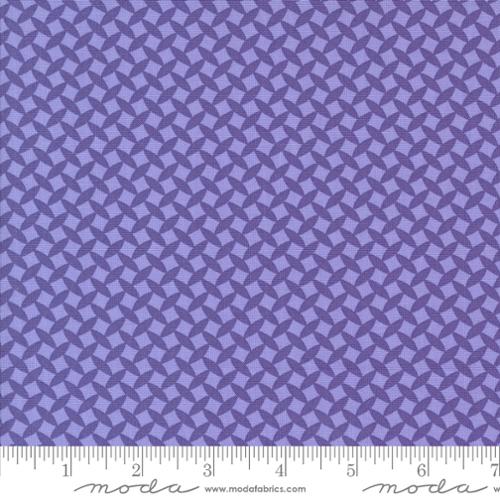 Fiesta Town Square Blenders Lilac Yardage