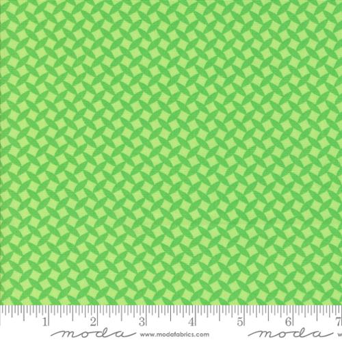 Fiesta Town Square Blenders Green Yardage