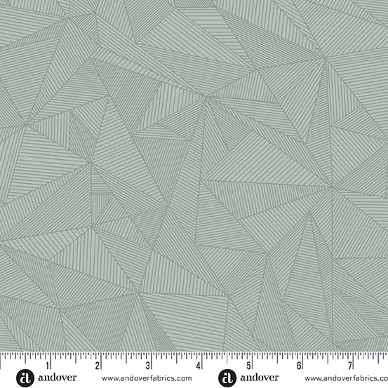 40 Terra A-1405-C Talkboy Fabric