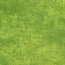 Chalk and Charcoal Zucchini