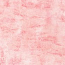 Chalk and Charcoal Rose