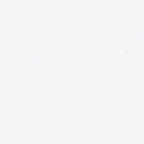 Muslin Warm White 200 Count