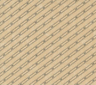 Blackbirds Nest Bird Tracks Stripes Tan Yardage