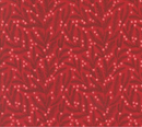 Berry And Pine Pine Needles Blenders Cranberry Fabric
