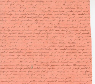 Acorn Hollow Campfire Text and Words Apple Fabric