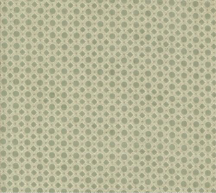 Acorn Hollow Dot Geometric Sage Fabric