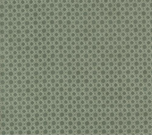 Acorn Hollow Dot Geometric Eucalyptus Fabric