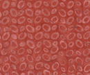 JDJ - Coral Beach Ovals Coral Fabric