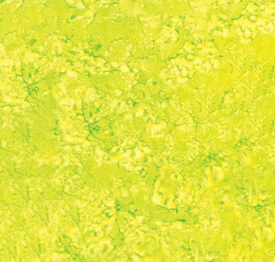 Expressions Batiks Hand-Dyes Kiwi Fabric