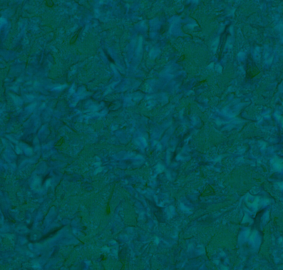 Expressions Batiks Hand-Dyes Hunter Fabric