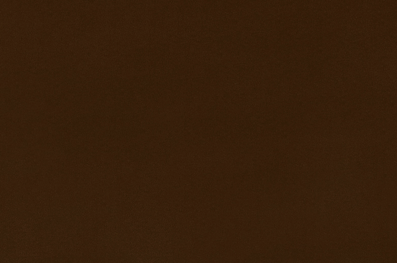 Solid Cuddle® 3 Brown Fabric