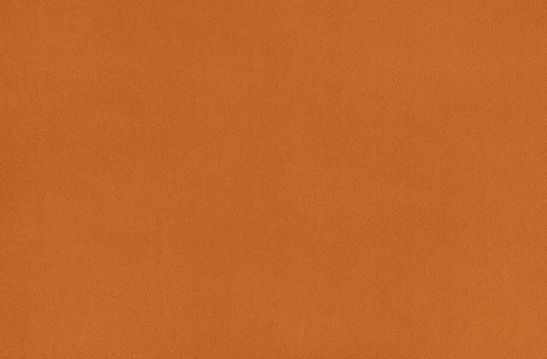 Solid Cuddle® 3 Ginger Fabric