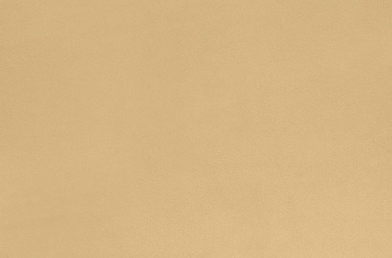 Solid Cuddle® 3 Camel Fabric