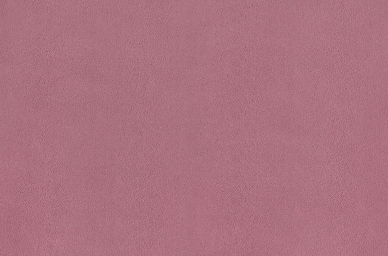 Solid Cuddle® 3 Wildrose Fabric
