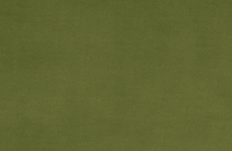 Solid Cuddle® 3 Cactus Fabric