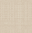 Prairie Chicks Chambray Natural Fabric