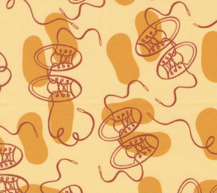 For My Boys Milo Shoes Sunshine Fabric