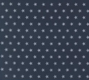 American Gatherings III 49324 16 Navy Fabric