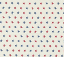 American Gatherings III 49324 11 Cloud Fabric