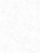 Essentials Crackle White on White Yardage